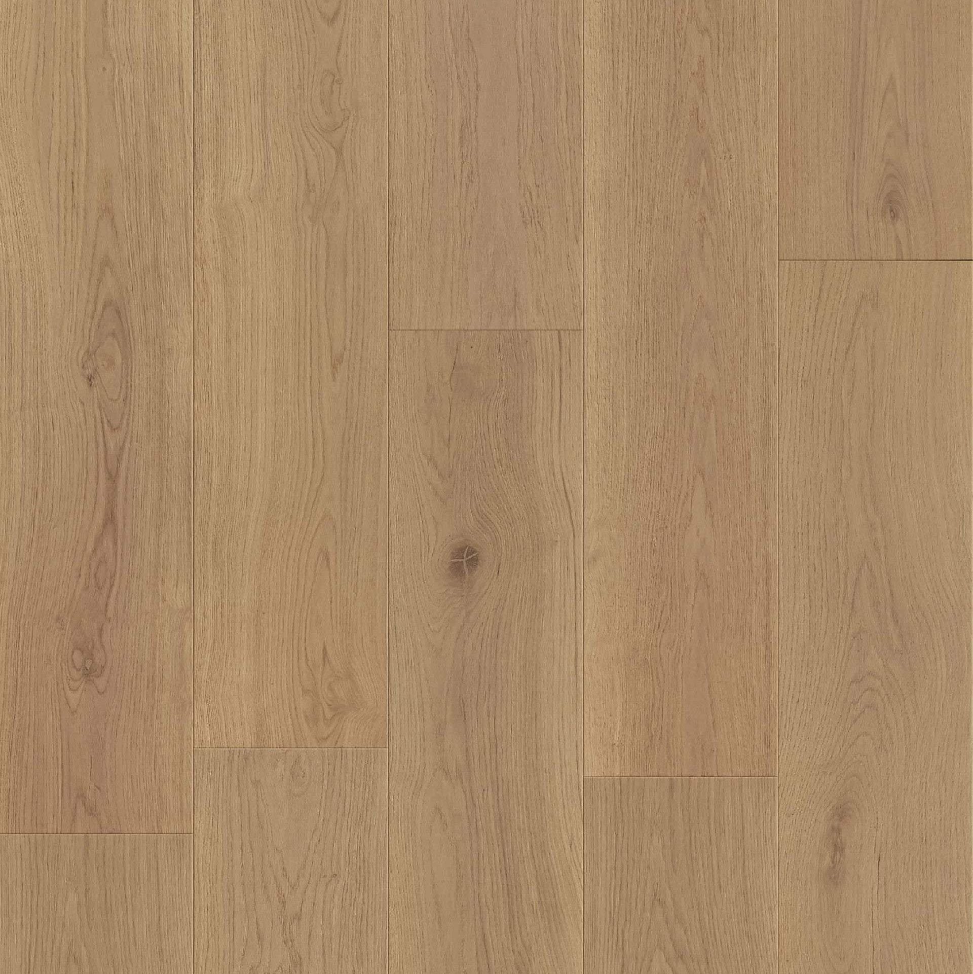 Compass Materials Inc Great Ocean Collection - 3/4"T x 10.25“W (6mm Wear Layer) Oak Engineered Hardwood flooring (24.62sqft. per box) - Golden State Floors