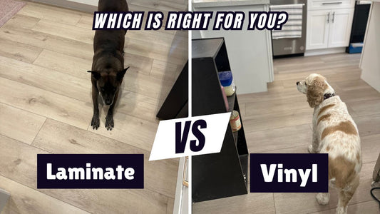 Laminate vs vinyl flooring comparison in kitchen with dogs on each surface
