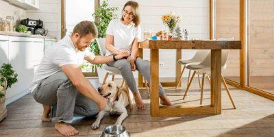 Couple with dog in bright kitchen featuring stylish hardwood flooring